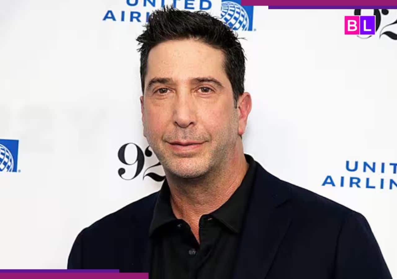 David Schwimmer sparks romance rumours with much-younger medical student